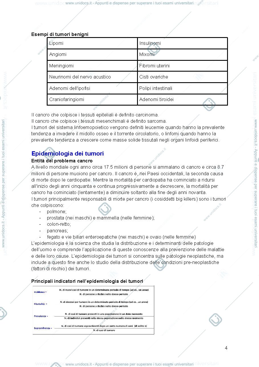 Anteprima pagina 4 — Slide Oncologia 