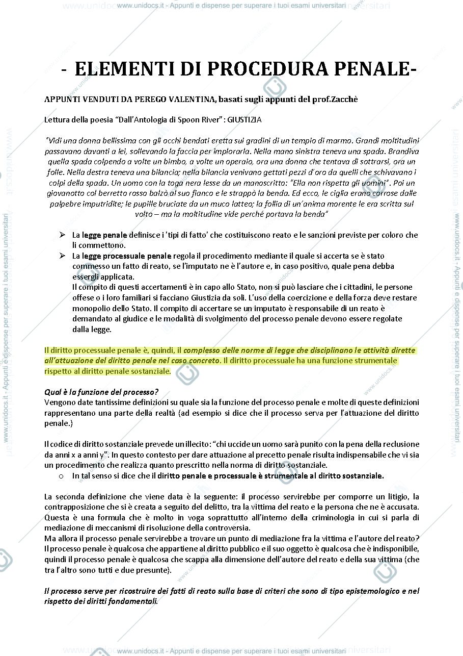 Anteprima pagina 1 — elementi di procedura penale