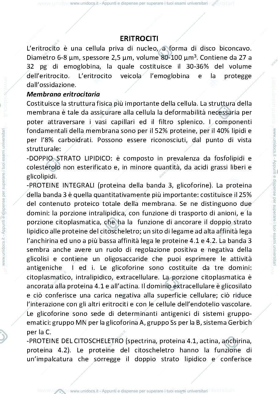 Anteprima pagina 1 — Eritrociti