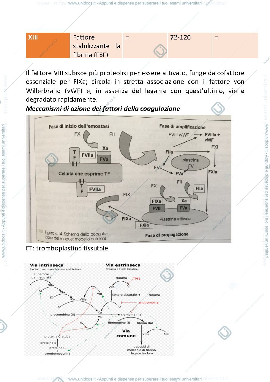 Anteprima pagina 2 — introduzione patologia dell’emostasi