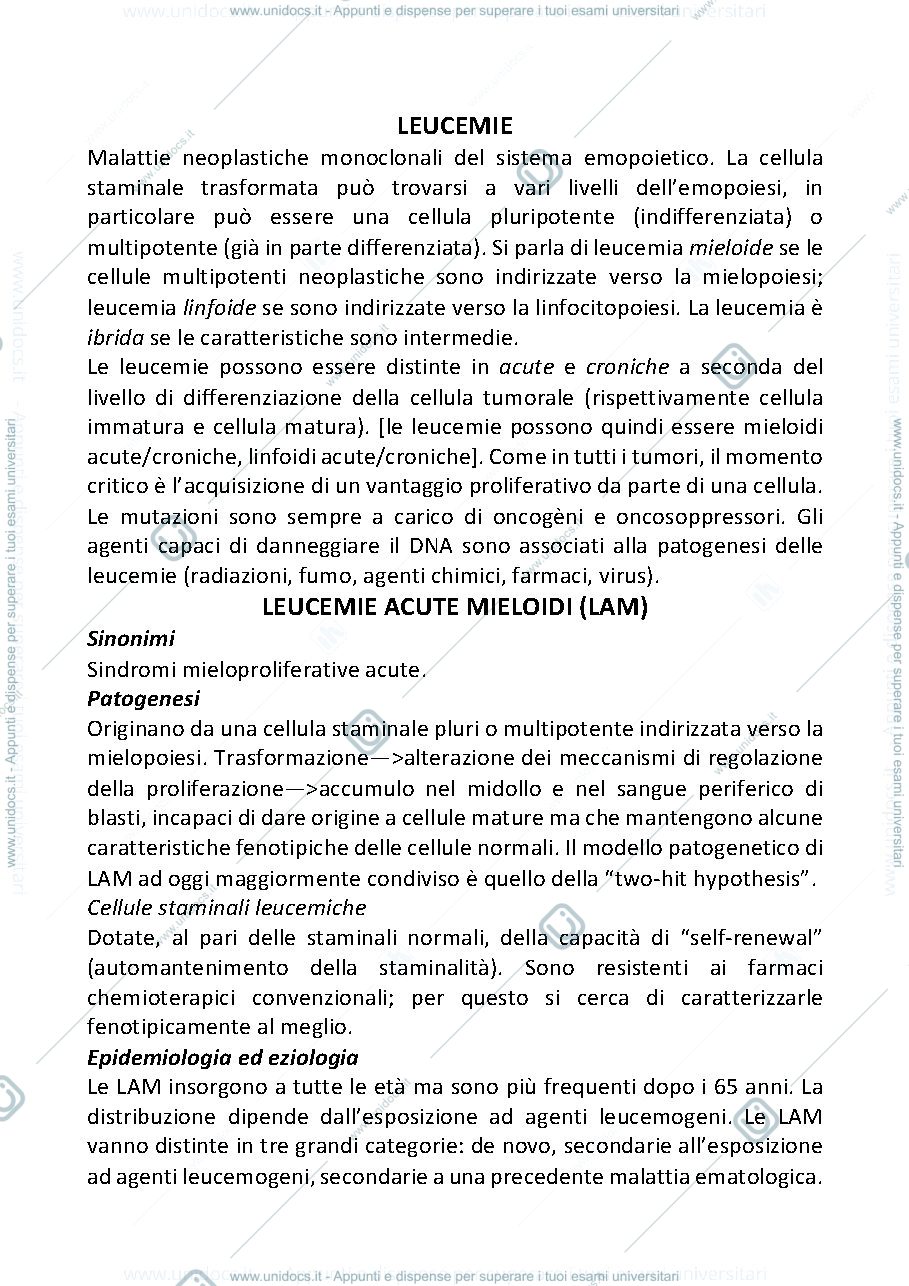 Anteprima pagina 2 — linea evolutiva degli elementi granulocitari