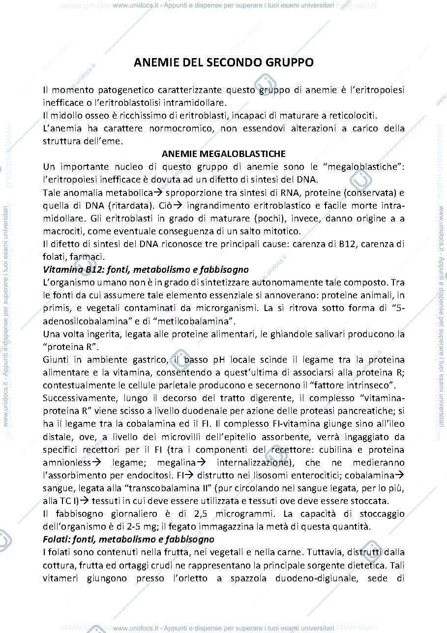 Anteprima pagina 1 — anemie del secondo gruppo