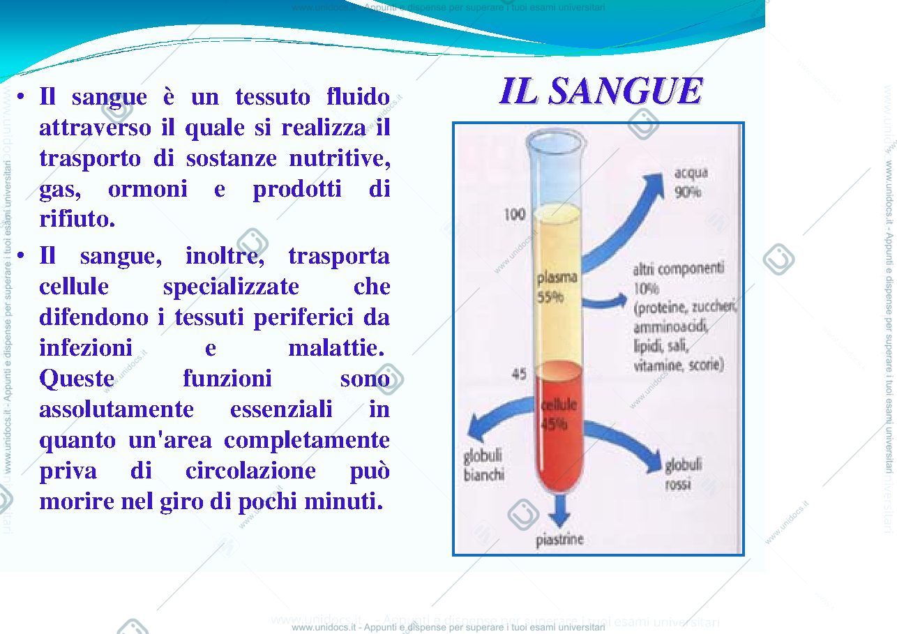 Anteprima pagina 2 — Coagulazione