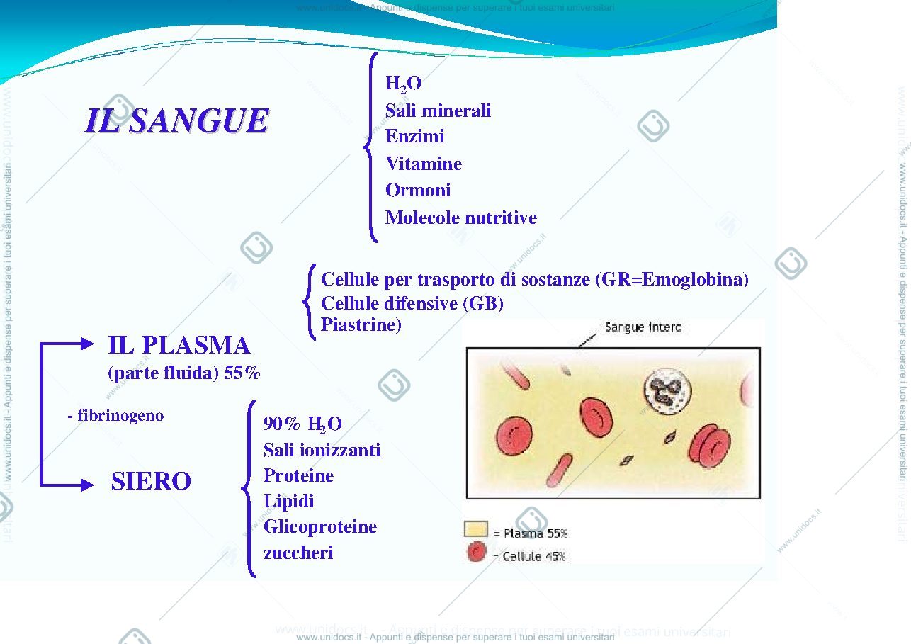 Anteprima pagina 3 — Coagulazione