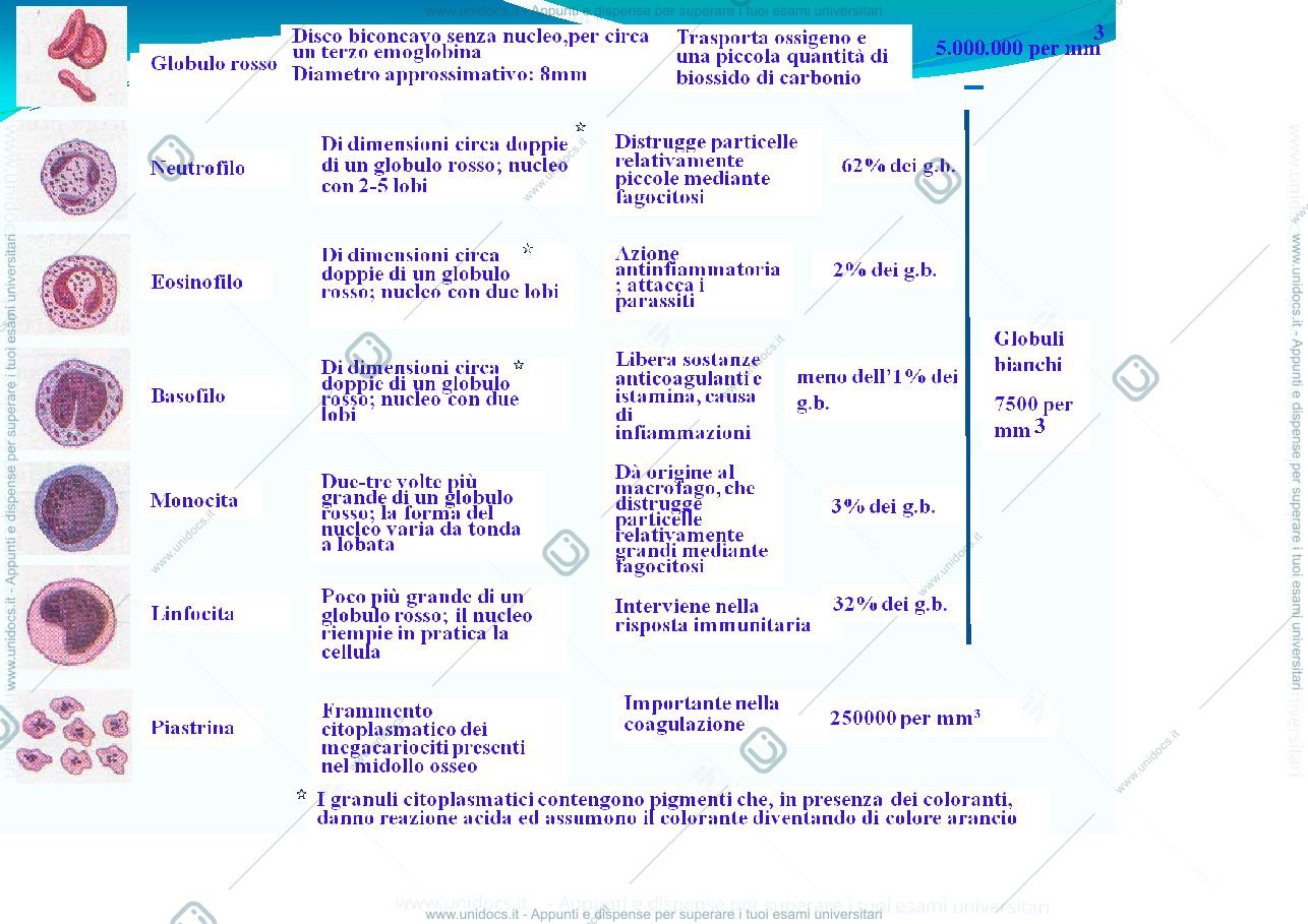 Anteprima pagina 4 — Coagulazione