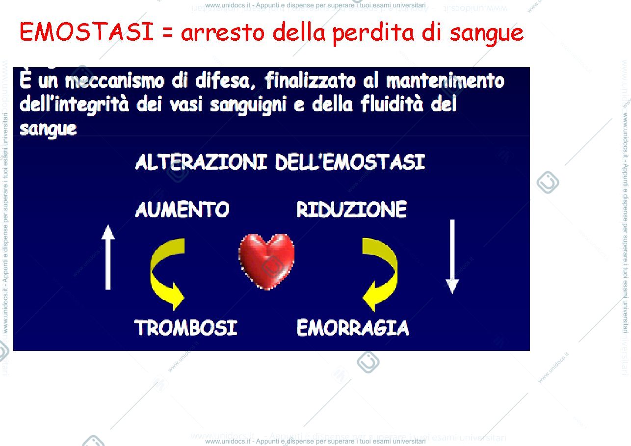 Anteprima pagina 3 — 4 Proteine della coagulazione e coagulazione del sangue
