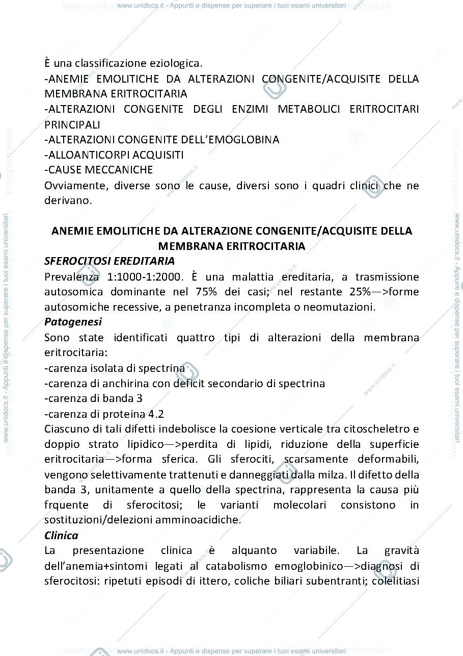 Anteprima pagina 2 — Anemie IV gruppo