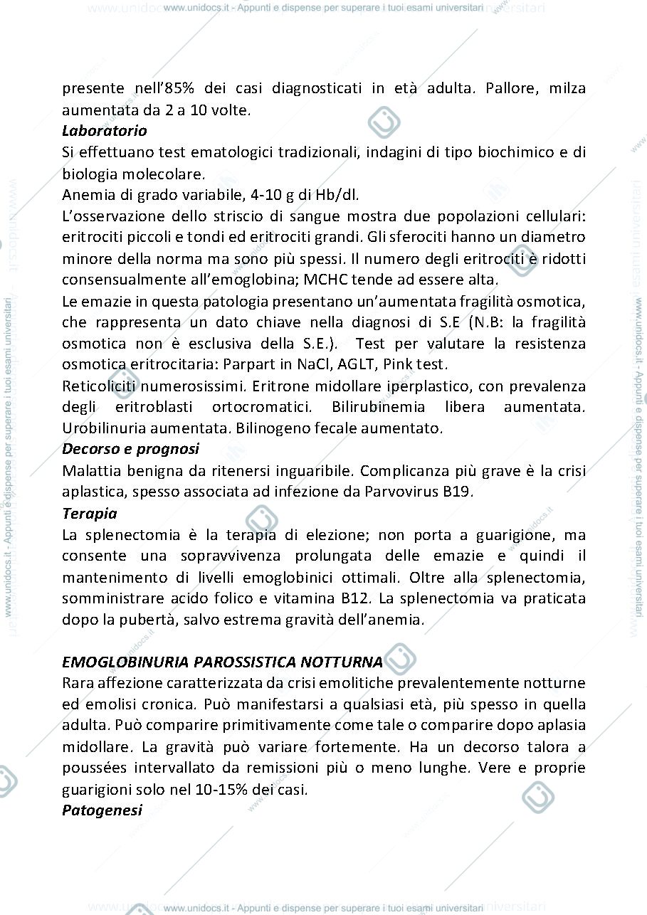 Anteprima pagina 3 — Anemie IV gruppo