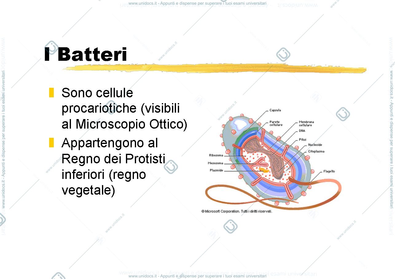Anteprima pagina 4 — epidemiologia delle malattie infettive