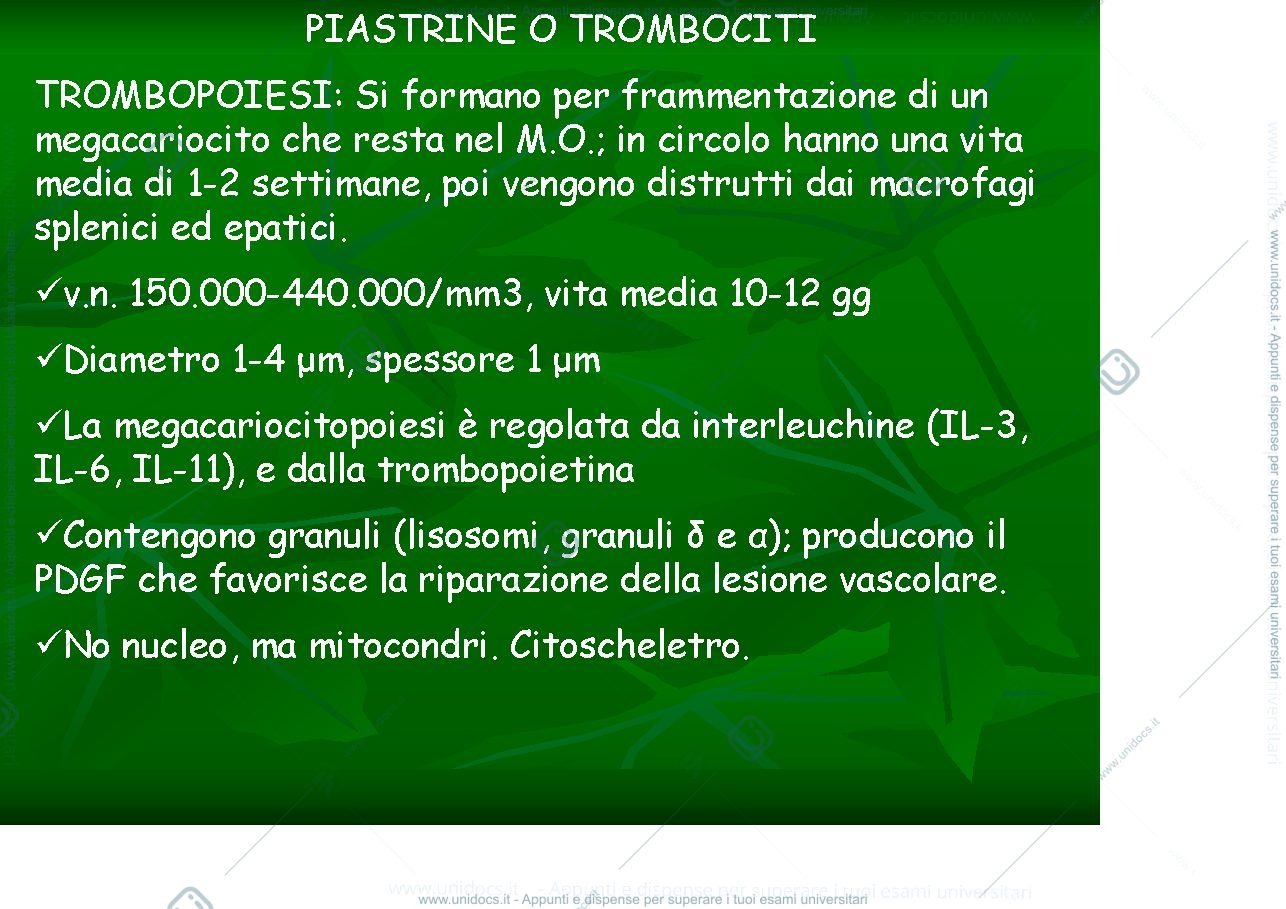 Anteprima pagina 1 — piastrine