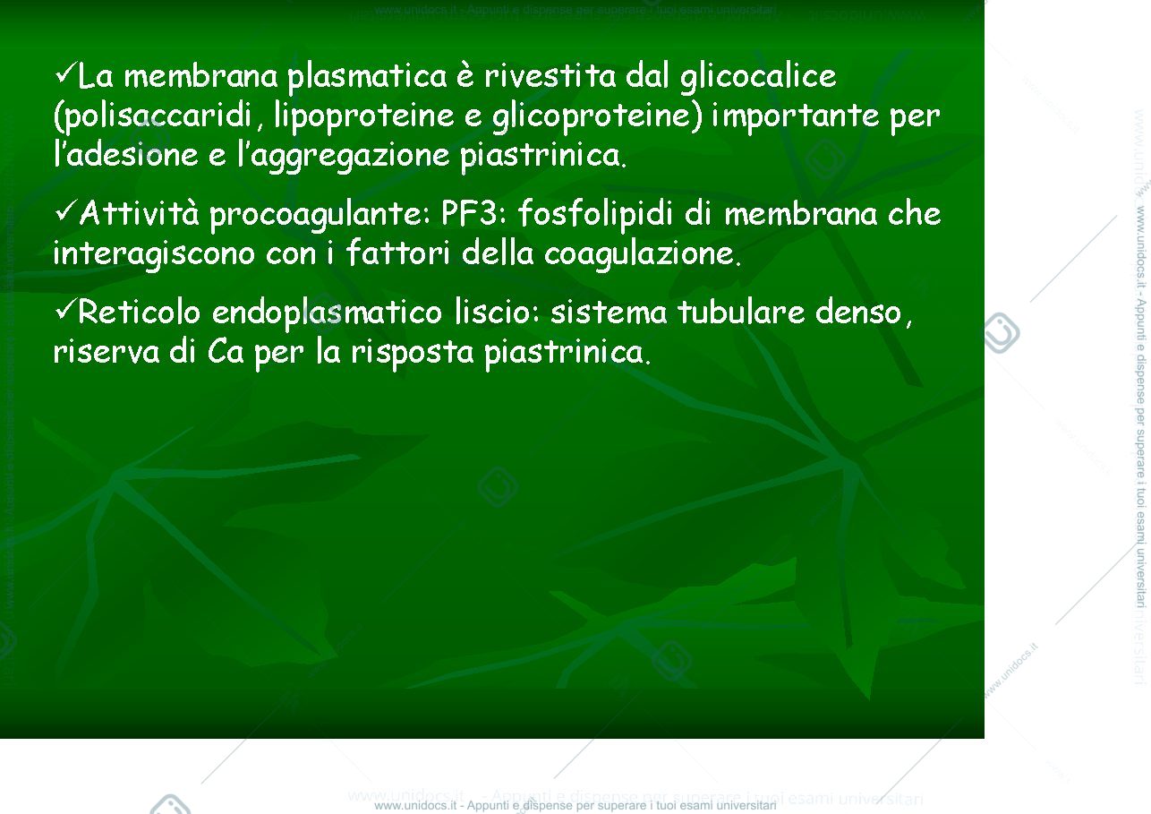 Anteprima pagina 2 — piastrine