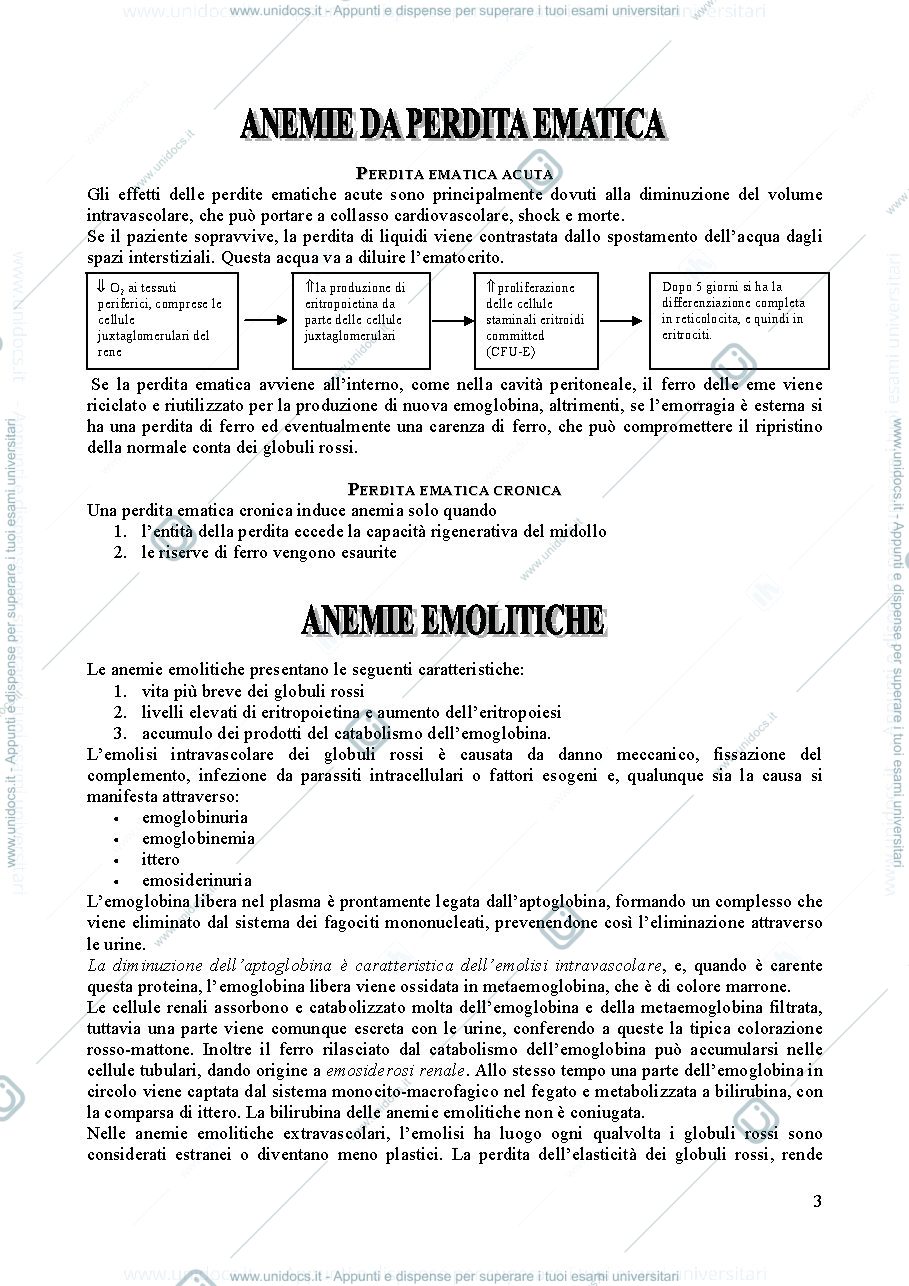 Anteprima pagina 3 — Manuale di Ematologia