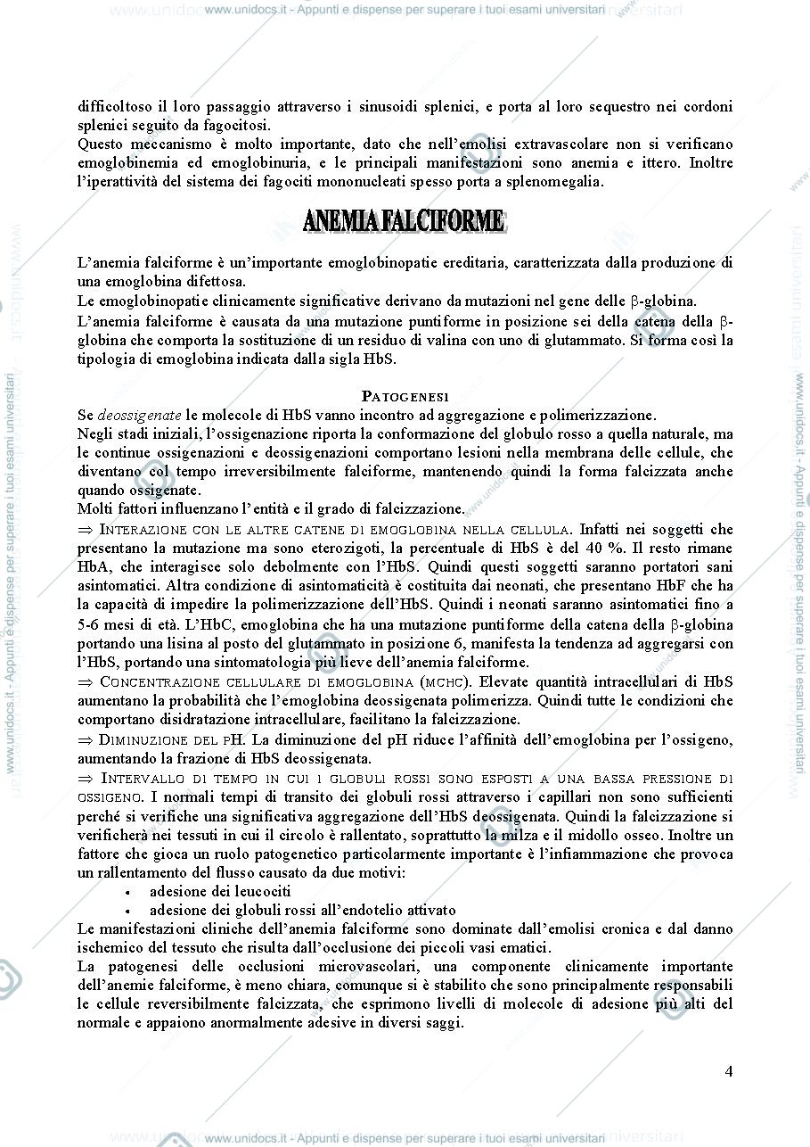 Anteprima pagina 4 — Manuale di Ematologia