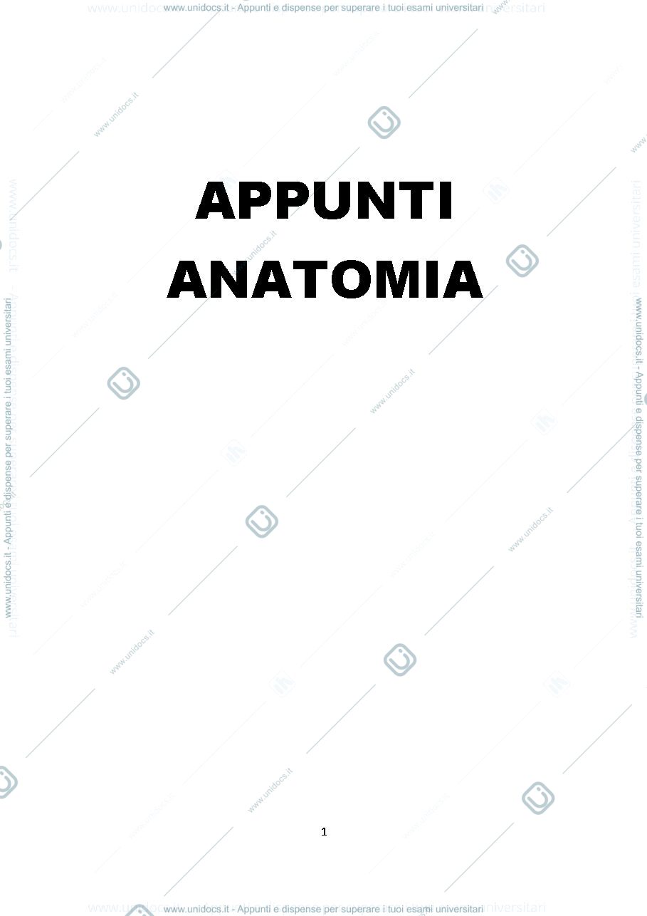 Anteprima pagina 1 — Sbobine Anatomia Umana
