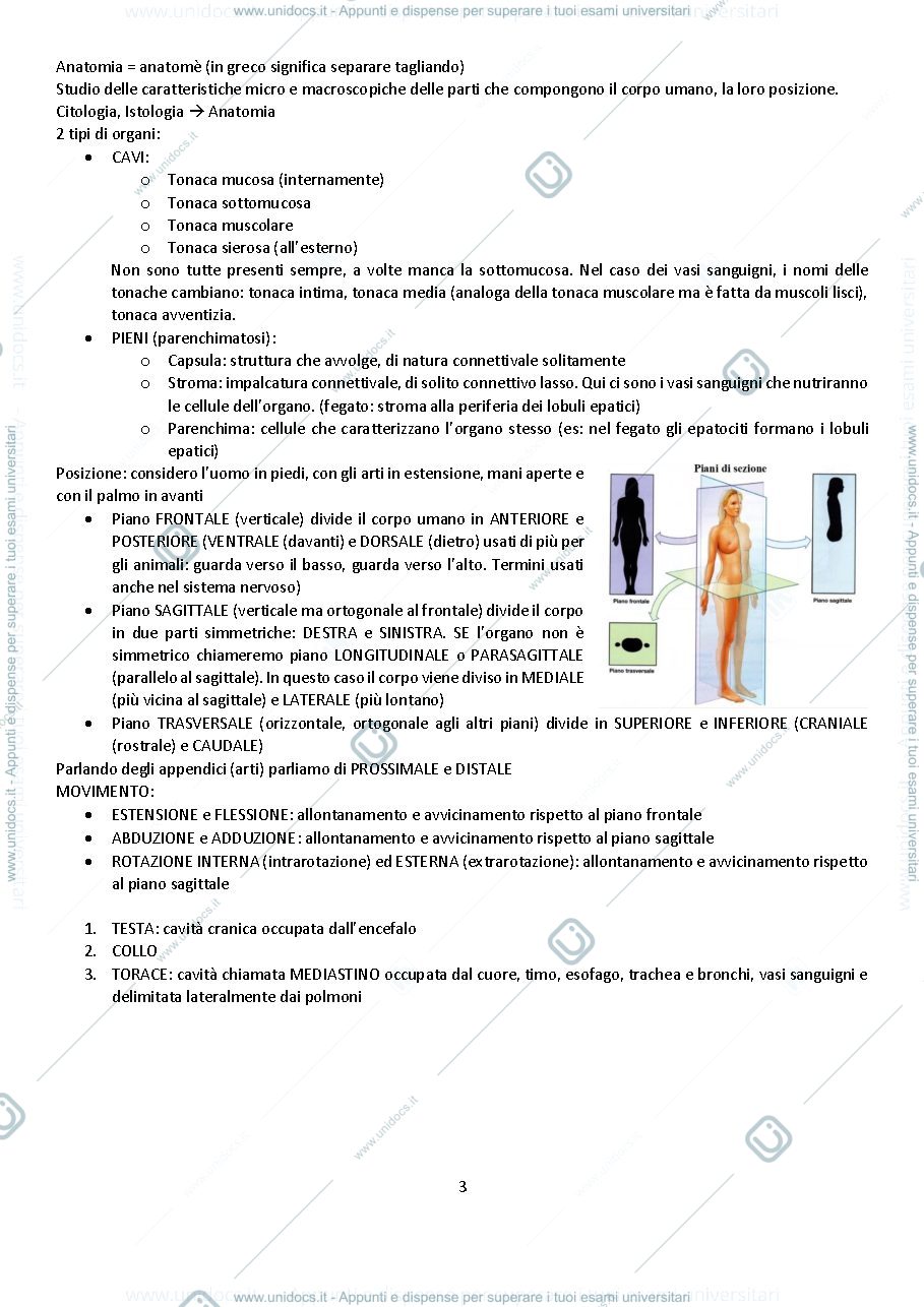 Anteprima pagina 3 — Sbobine Anatomia Umana