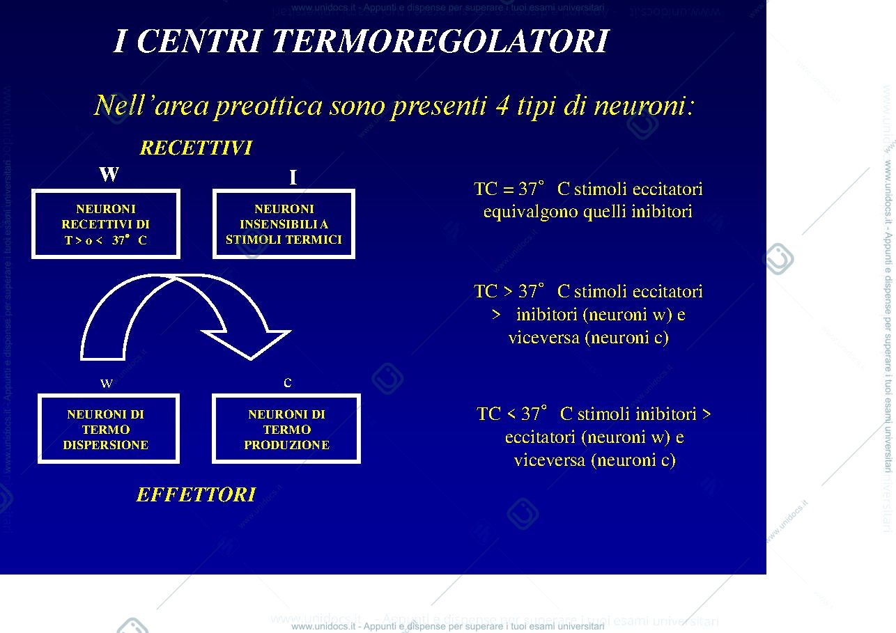 Anteprima pagina 4 — Febbre