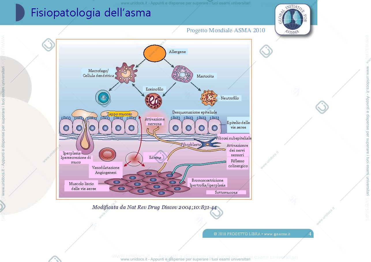 Anteprima pagina 4 — asma bronchiale