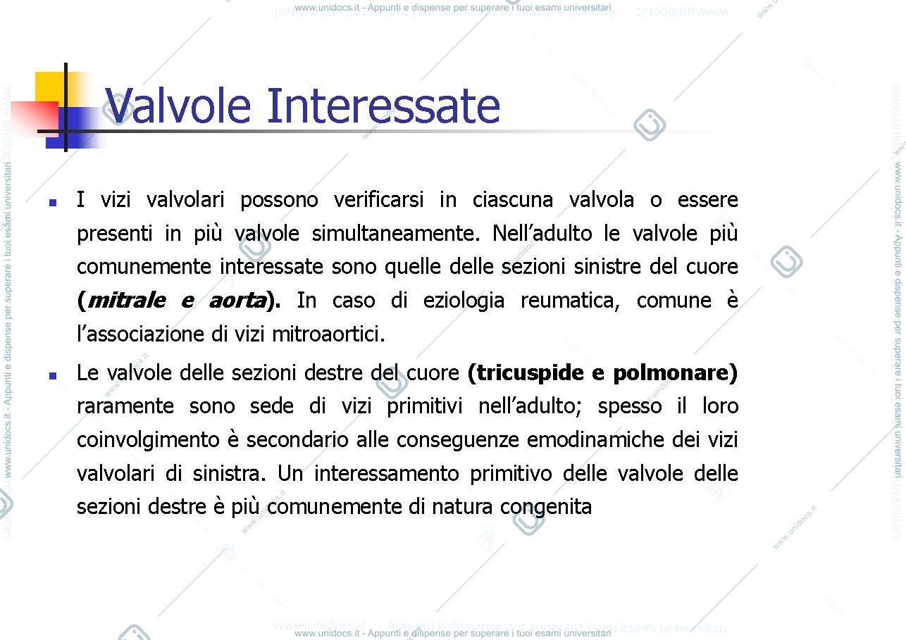 Anteprima pagina 3 — Vizi Valvolari