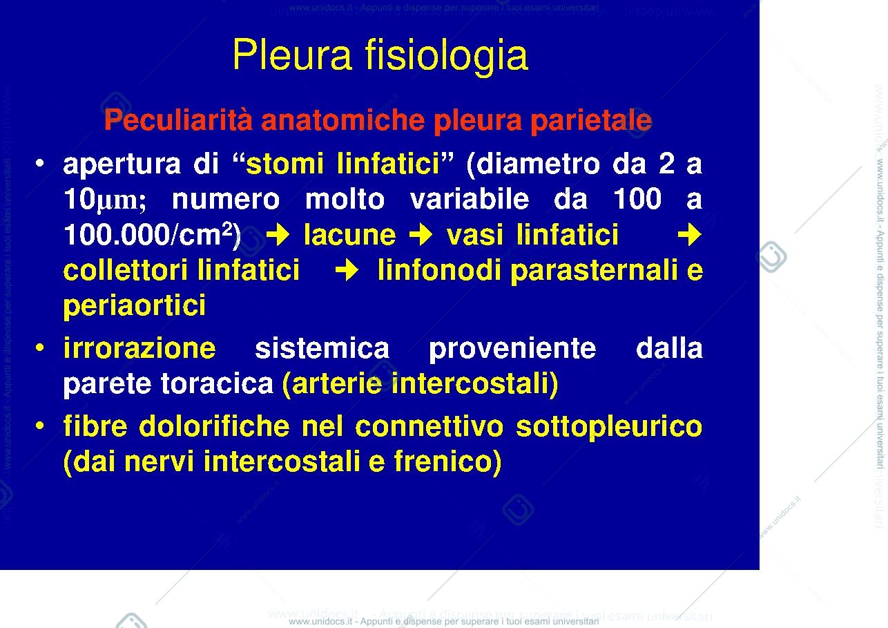 Anteprima pagina 2 — pleura fisiologica