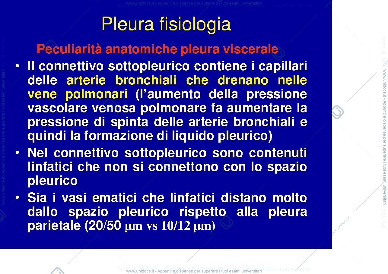 Anteprima pagina 4 — pleura fisiologica