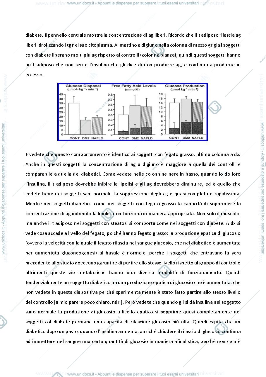 Anteprima pagina 3 — Diabete