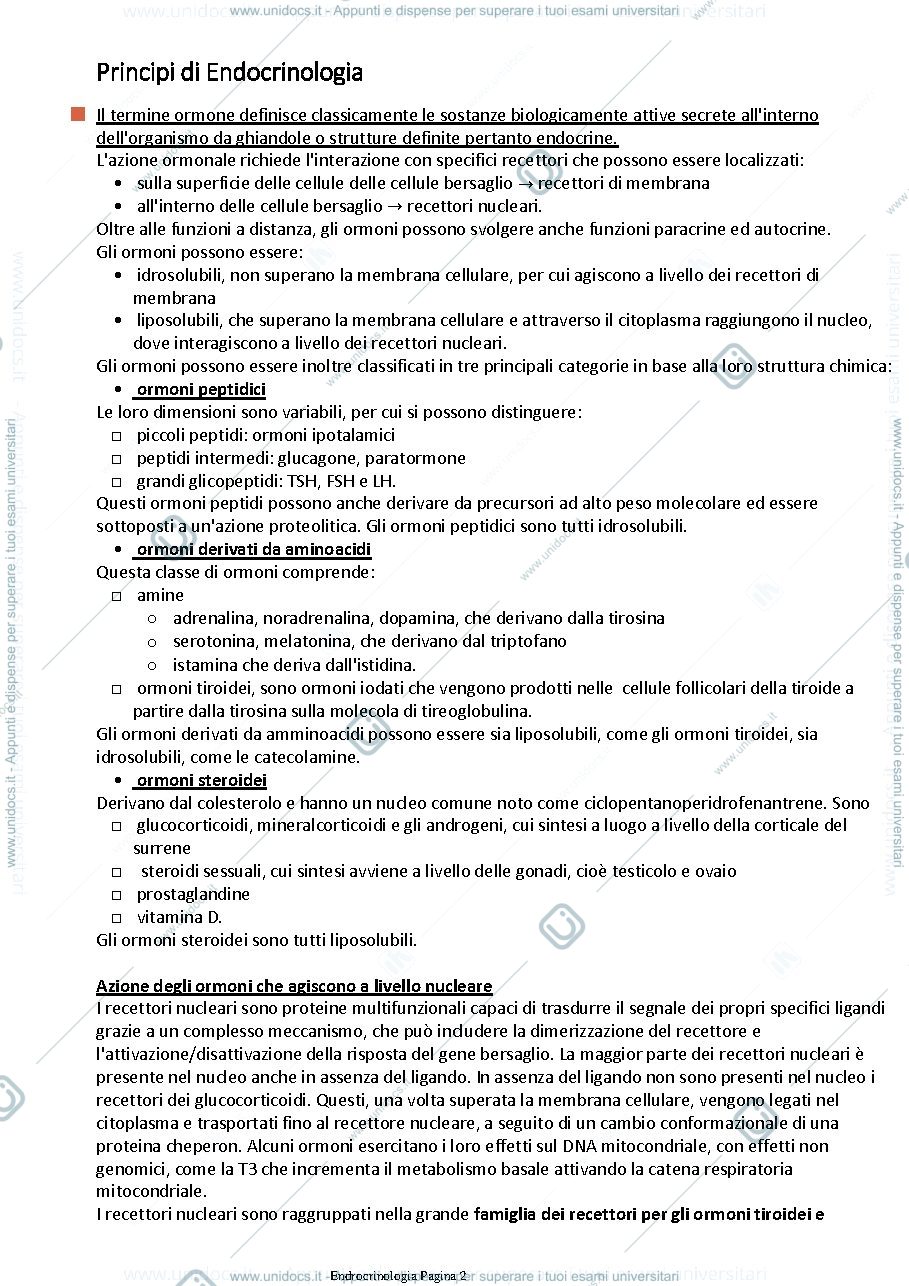 Anteprima pagina 2 — Endocrinologia