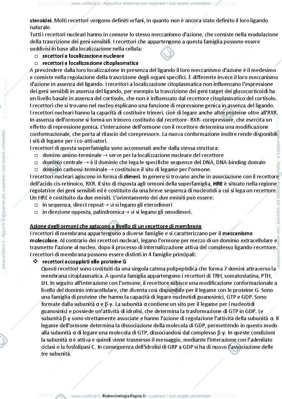 Anteprima pagina 3 — Endocrinologia