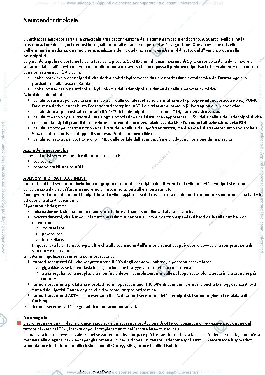 Anteprima pagina 5 — Endocrinologia