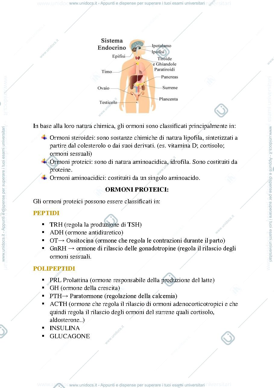 Anteprima pagina 2 — Endocrinologia e malattie dismetaboliche file 1