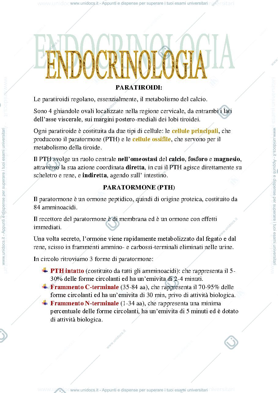 Anteprima pagina 1 — Endocrinologia e malattie dismetaboliche 