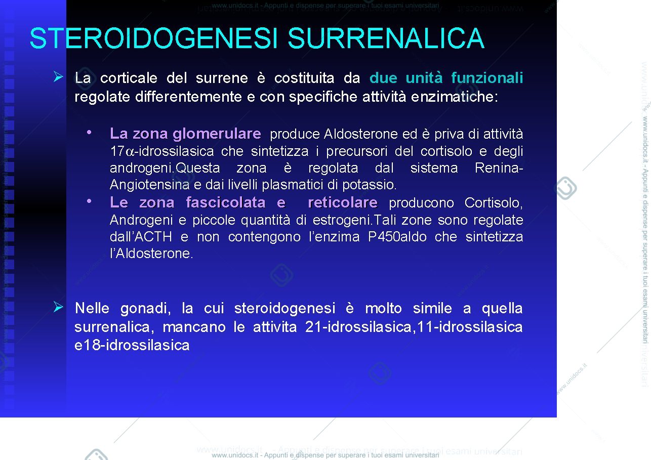 Anteprima pagina 3 — surrene 
