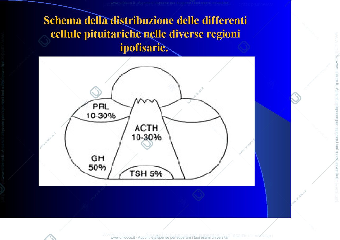 Anteprima pagina 3 — Ipofisi 