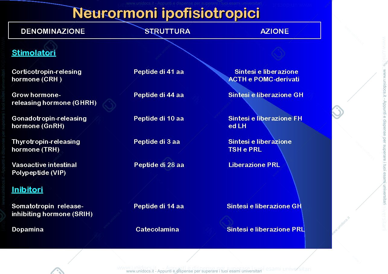 Anteprima pagina 5 — Ipofisi 