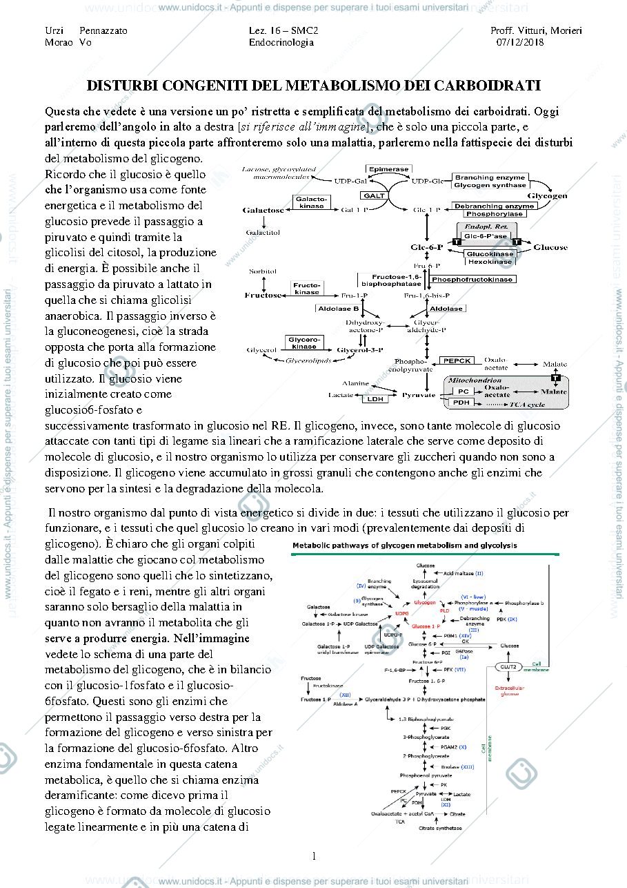 Anteprima pagina 1 — Disturbi congeniti del metabolismo dei carboidrati