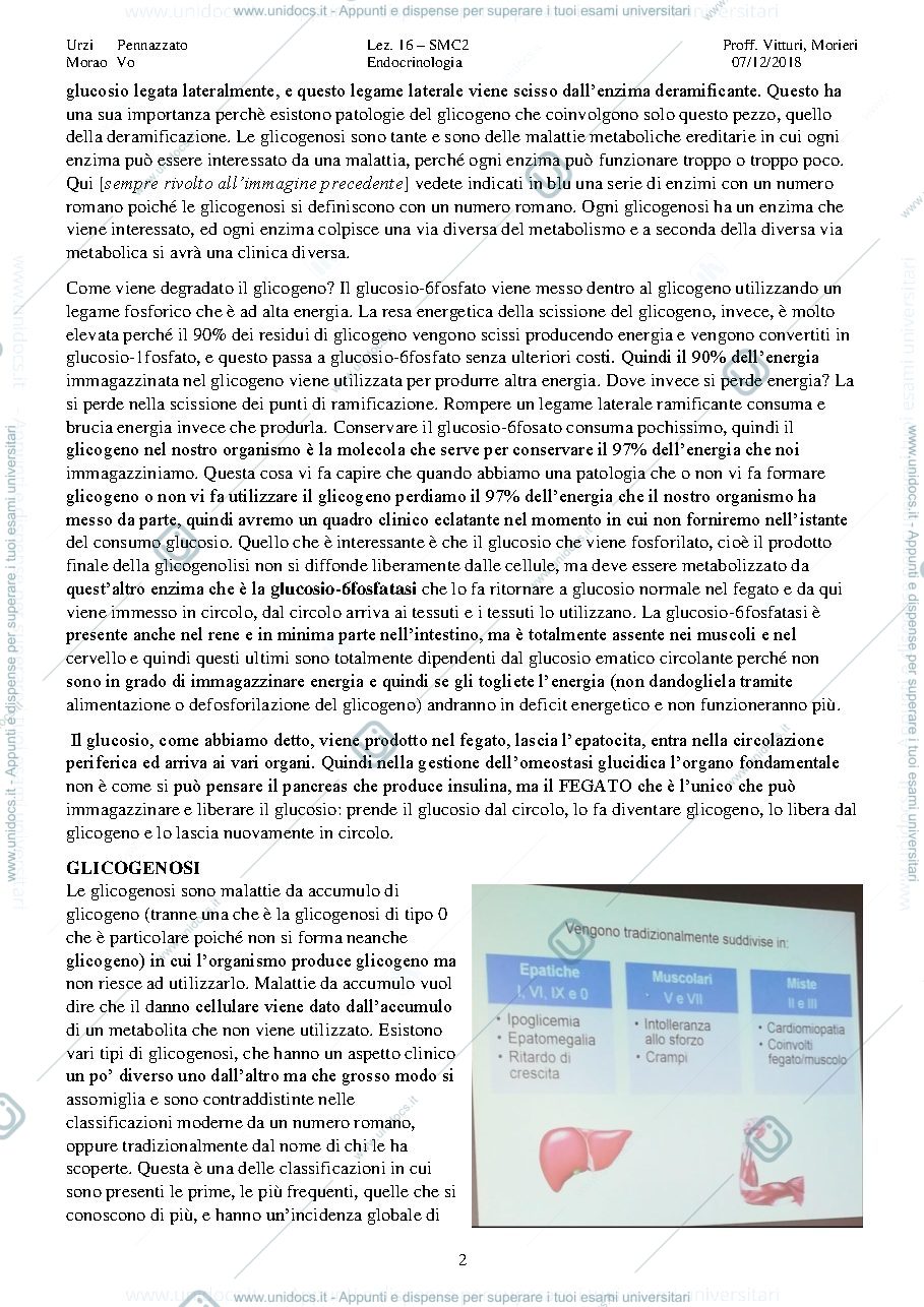 Anteprima pagina 2 — Disturbi congeniti del metabolismo dei carboidrati