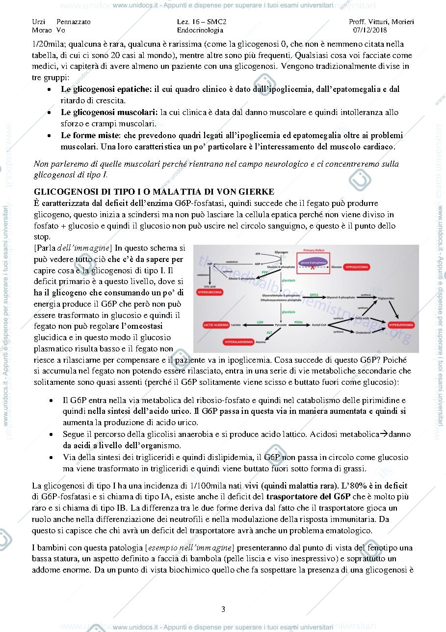 Anteprima pagina 3 — Disturbi congeniti del metabolismo dei carboidrati