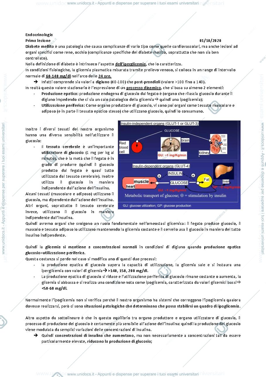 Anteprima pagina 1 — PRIMA LEZIONE ENDOCRINOLOGIA