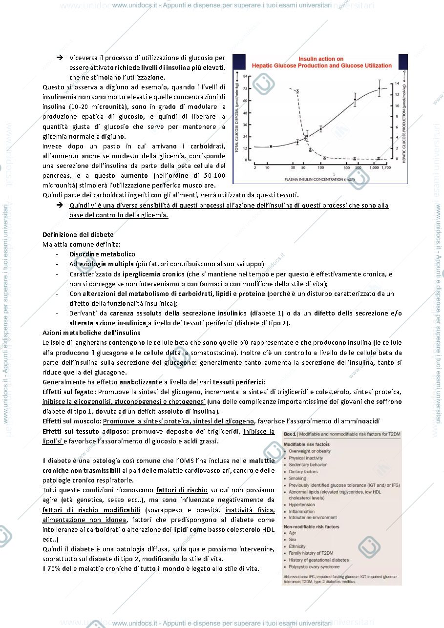 Anteprima pagina 2 — PRIMA LEZIONE ENDOCRINOLOGIA