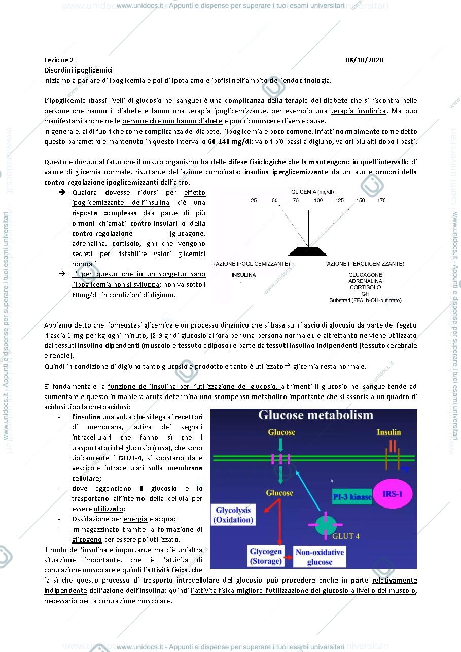Anteprima pagina 1 — SECONDA LEZIONE ENDOCRINOLOGIA