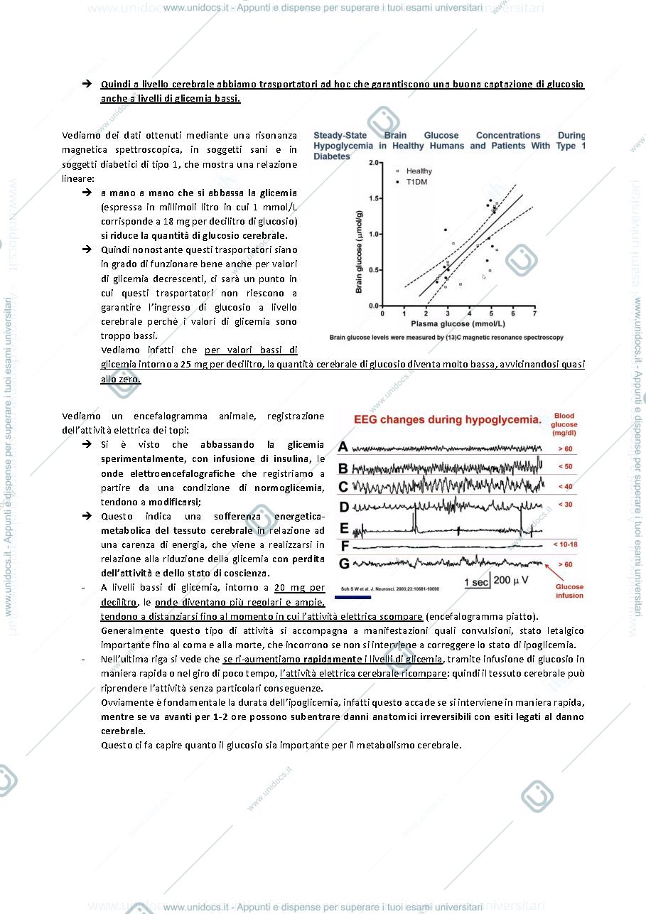 Anteprima pagina 3 — SECONDA LEZIONE ENDOCRINOLOGIA