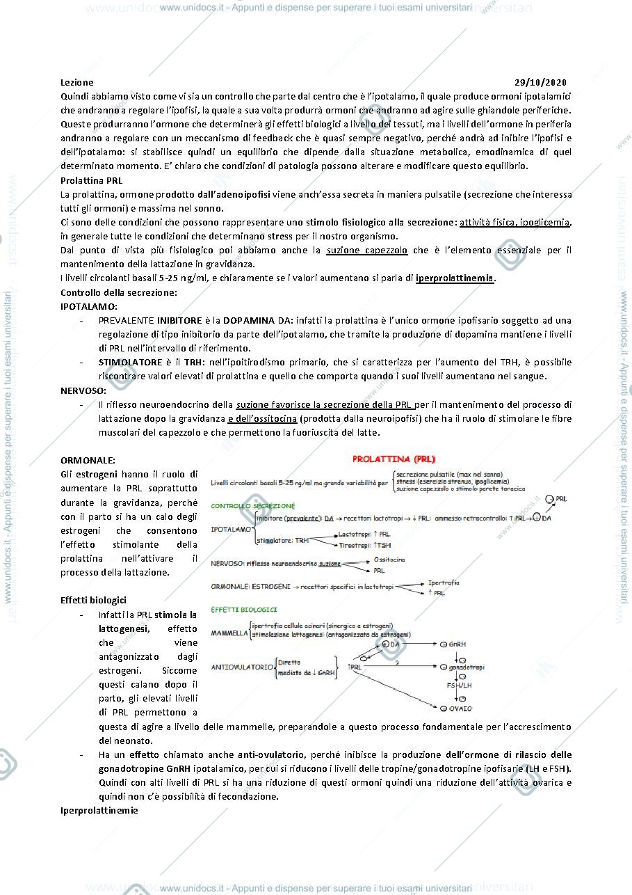 Anteprima pagina 1 — QUARTA LEZIONE ENDOCRINOLOGIA