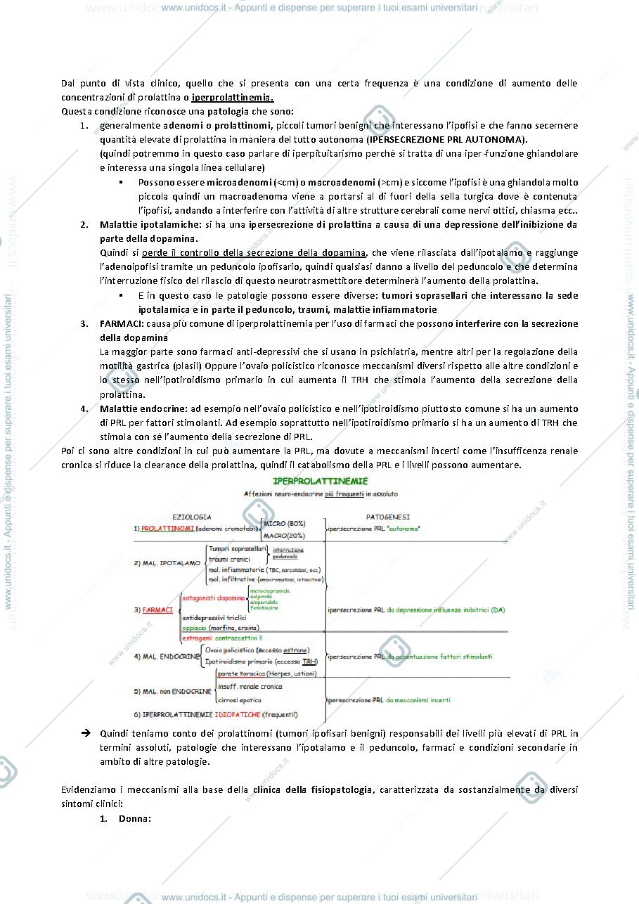 Anteprima pagina 2 — QUARTA LEZIONE ENDOCRINOLOGIA