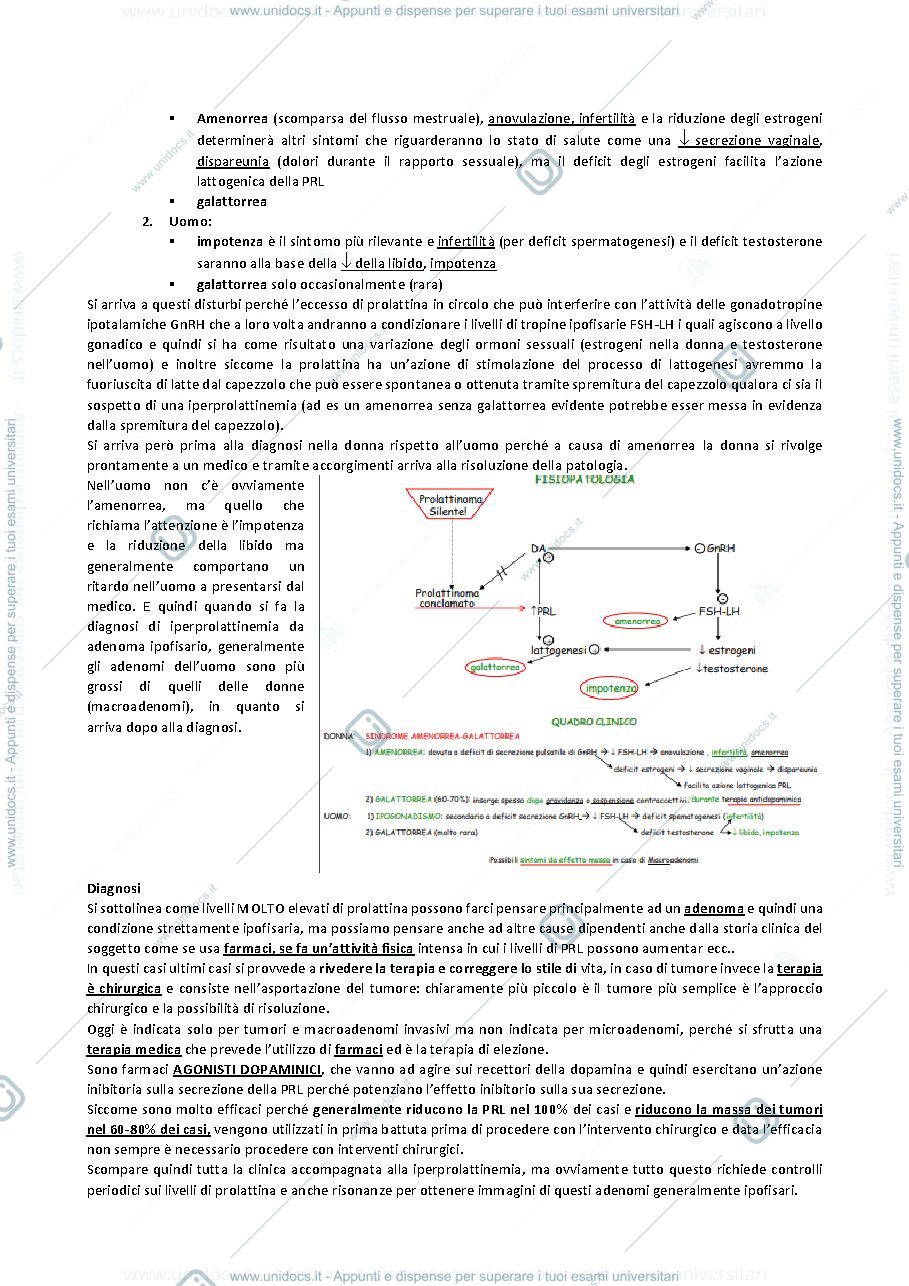 Anteprima pagina 3 — QUARTA LEZIONE ENDOCRINOLOGIA