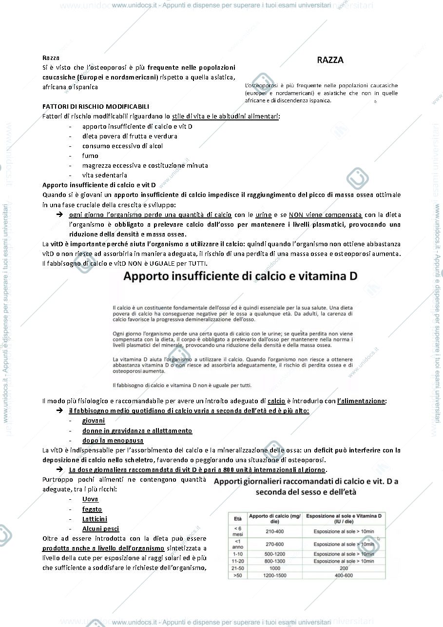 Anteprima pagina 3 — SETTIMA LEZIONE ENDOCRINOLOGIA