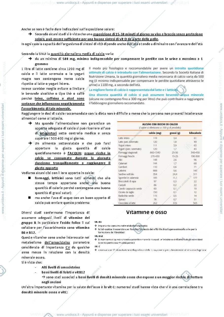Anteprima pagina 4 — SETTIMA LEZIONE ENDOCRINOLOGIA