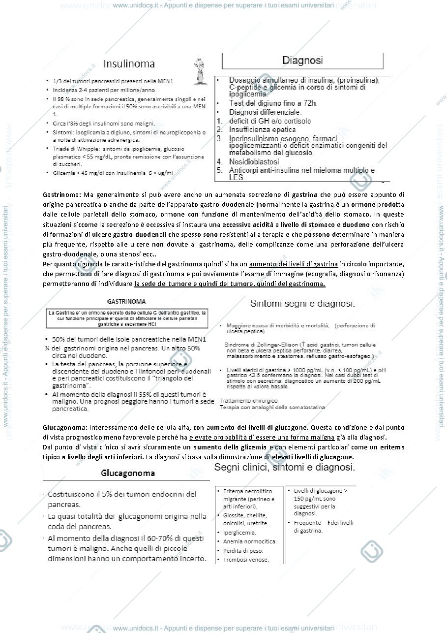 Anteprima pagina 2 — NONA LEZIONE ENDOCRINOLOGIA