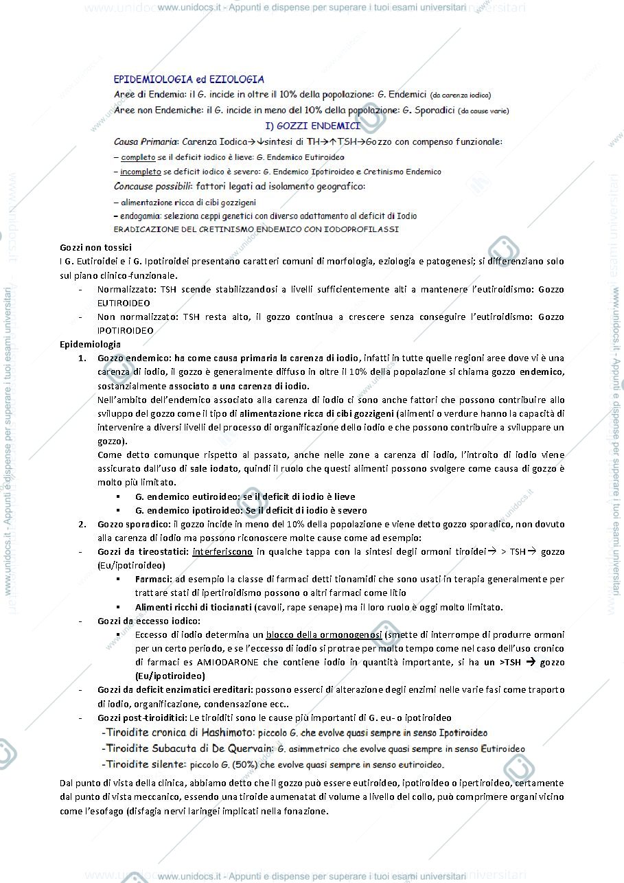 Anteprima pagina 3 — QUINTA LEZIONE ENDOCRINOLOGIA