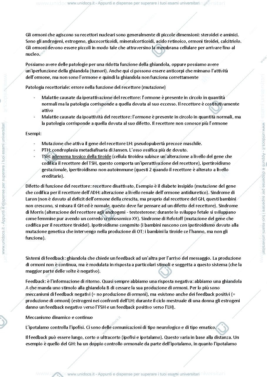 Anteprima pagina 3 — Endocrinologia