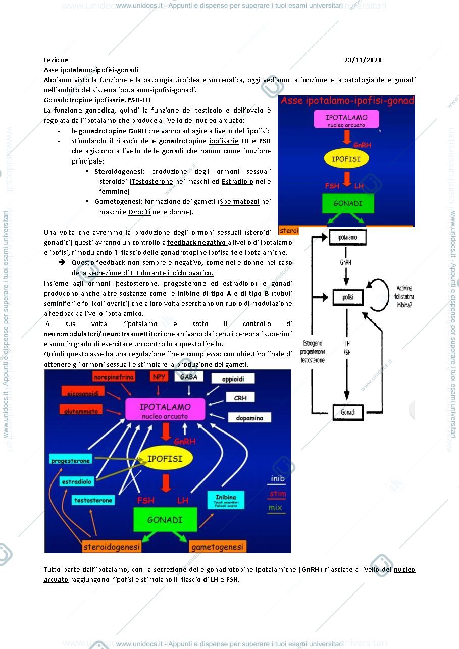 Anteprima pagina 1 — SESTA LEZIONE ENDOCRINOLOGIA