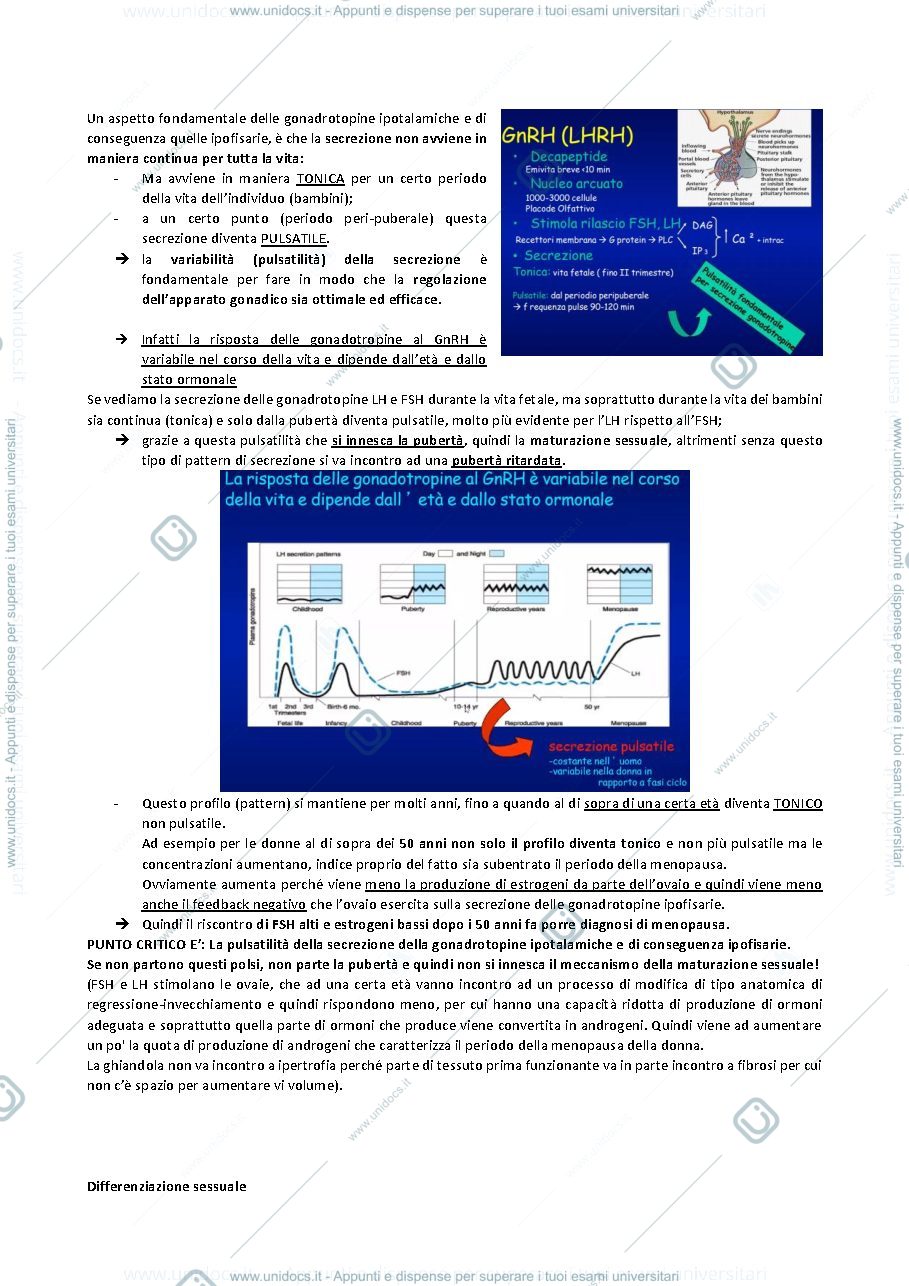 Anteprima pagina 2 — SESTA LEZIONE ENDOCRINOLOGIA